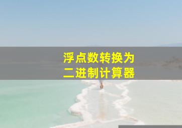 浮点数转换为二进制计算器