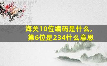 海关10位编码是什么,第6位是234什么意思