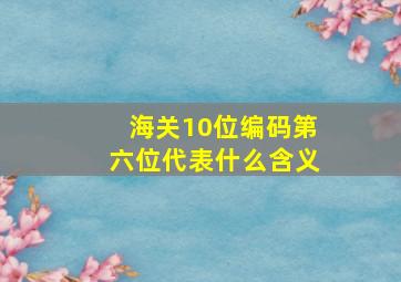 海关10位编码第六位代表什么含义