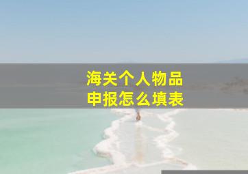 海关个人物品申报怎么填表