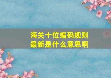 海关十位编码规则最新是什么意思啊