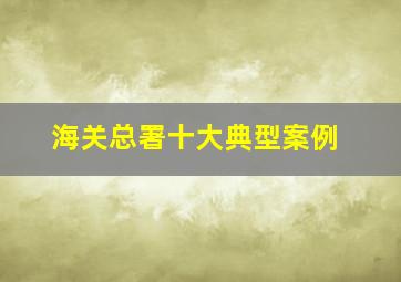 海关总署十大典型案例