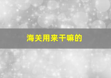 海关用来干嘛的