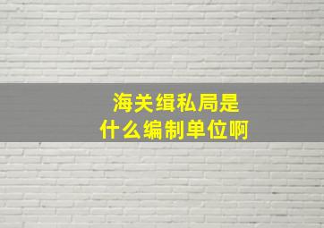 海关缉私局是什么编制单位啊