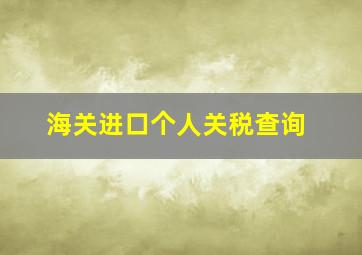 海关进口个人关税查询