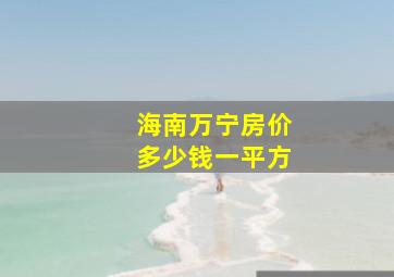 海南万宁房价多少钱一平方