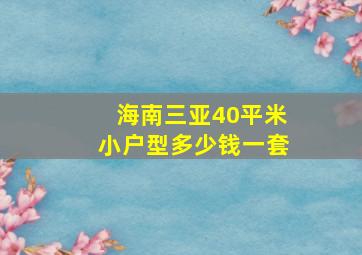 海南三亚40平米小户型多少钱一套