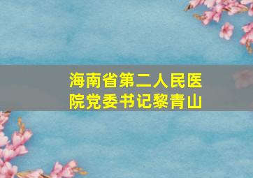 海南省第二人民医院党委书记黎青山