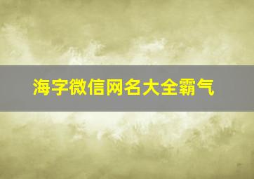 海字微信网名大全霸气