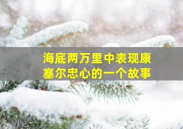 海底两万里中表现康塞尔忠心的一个故事