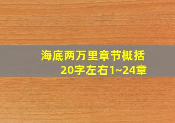 海底两万里章节概括20字左右1~24章