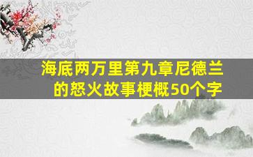 海底两万里第九章尼德兰的怒火故事梗概50个字