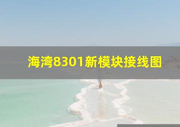 海湾8301新模块接线图