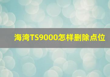 海湾TS9000怎样删除点位