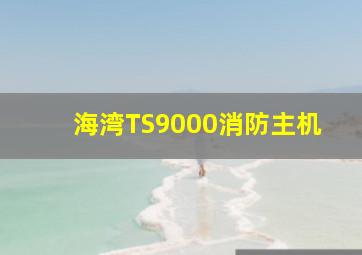 海湾TS9000消防主机