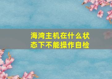 海湾主机在什么状态下不能操作自检