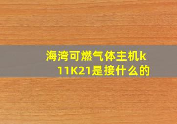 海湾可燃气体主机k11K21是接什么的