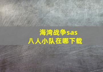 海湾战争sas八人小队在哪下载