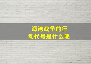 海湾战争的行动代号是什么呢