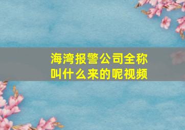 海湾报警公司全称叫什么来的呢视频