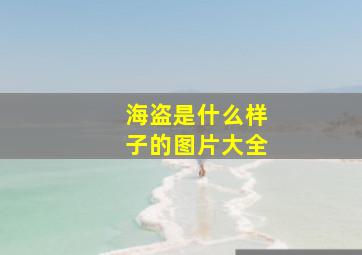 海盗是什么样子的图片大全