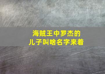 海贼王中罗杰的儿子叫啥名字来着