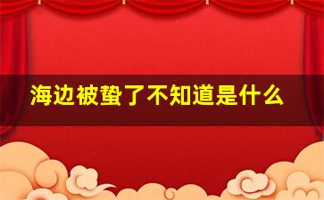 海边被蛰了不知道是什么