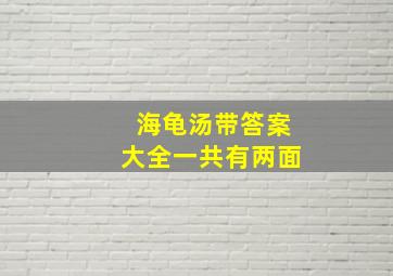 海龟汤带答案大全一共有两面