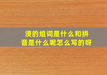 浸的组词是什么和拼音是什么呢怎么写的呀