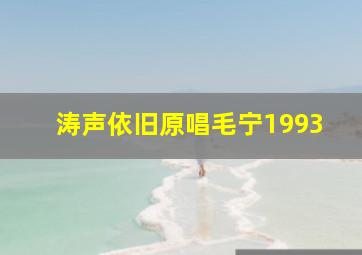 涛声依旧原唱毛宁1993