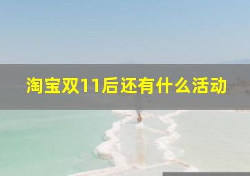 淘宝双11后还有什么活动