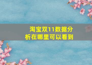 淘宝双11数据分析在哪里可以看到