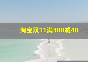 淘宝双11满300减40