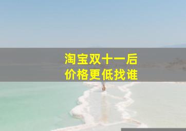 淘宝双十一后价格更低找谁