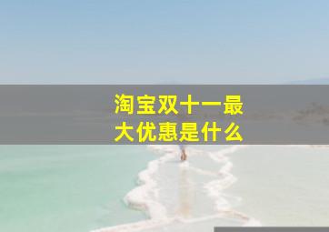 淘宝双十一最大优惠是什么