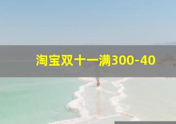 淘宝双十一满300-40