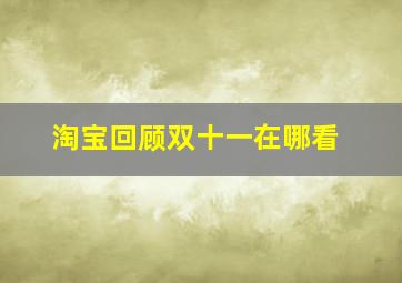 淘宝回顾双十一在哪看