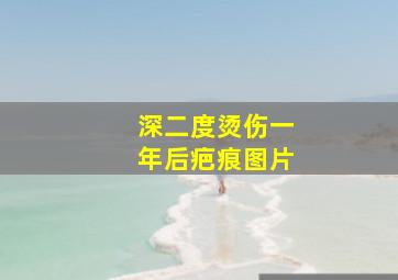 深二度烫伤一年后疤痕图片