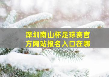 深圳南山杯足球赛官方网站报名入口在哪