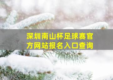 深圳南山杯足球赛官方网站报名入口查询