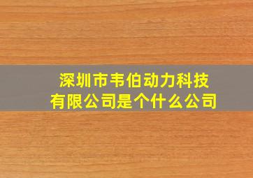 深圳市韦伯动力科技有限公司是个什么公司