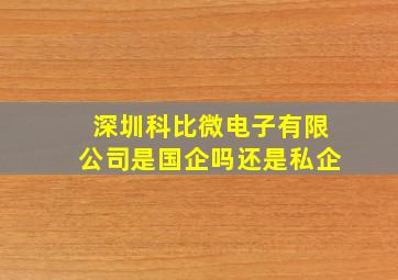 深圳科比微电子有限公司是国企吗还是私企