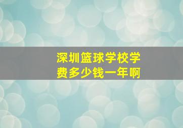 深圳篮球学校学费多少钱一年啊