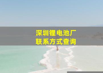 深圳锂电池厂联系方式查询