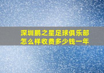 深圳鹏之星足球俱乐部怎么样收费多少钱一年