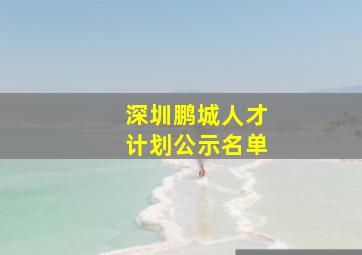 深圳鹏城人才计划公示名单