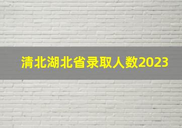 清北湖北省录取人数2023