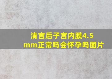 清宫后子宫内膜4.5mm正常吗会怀孕吗图片