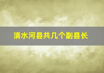 清水河县共几个副县长