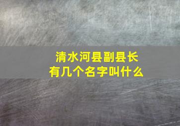 清水河县副县长有几个名字叫什么